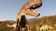 zdjęcie dinozaura ti reks w Bałtowie