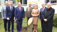 Przed Budynkiem Urzędu Miasta I Gminy Staszów Został Posadzony Pamiątkowy Dąb św. Jana Pawła Ii