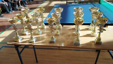 Wojewódzki Turniej Tenisa Stołowego Trofea Przygotowane Dla Zwycięzców