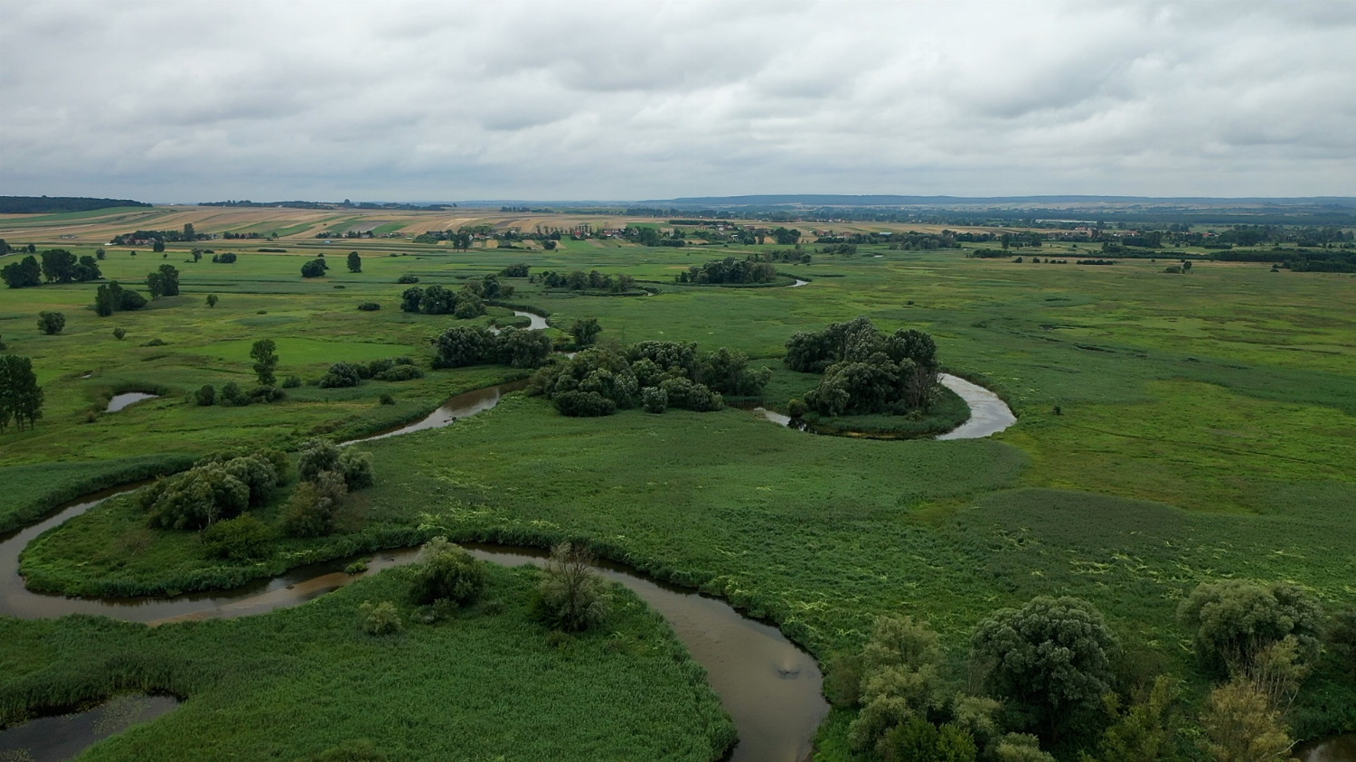 Rzeka Nida