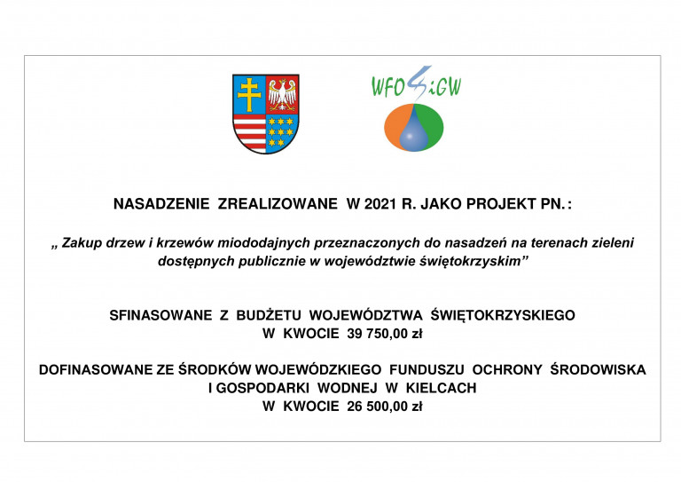 Banner o treści: NASADZENIE ZREALIZOWANE W 2021 R. JAKO PROJEKT PN. : „ Zakup drzew i krzewów miododajnych przeznaczonych do nasadzeń na terenach zieleni dostępnych publicznie w województwie świętokrzyskim” SFINASOWANE Z BUDŻETU WOJEWÓDZTWA ŚWIĘTOKRZYSKIEGO W KWOCIE 39 750,00 zł DOFINASOWANE ZE ŚRODKÓW WOJEWÓDZKIEGO FUNDUSZU OCHRONY ŚRODOWISKA I GOSPODARKI WODNEJ W KIELCACH W KWOCIE 26 500,00 zł