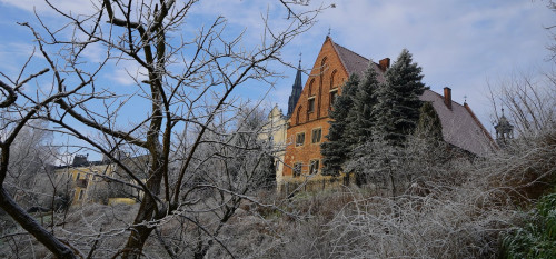 Dom Długosza Zimą