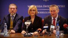 Renata Janik, Wicemarszałek