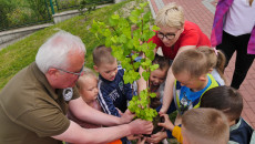 Marek Jońca Posadził Krzewy Na Terenie Przedszkola Samorządowego W Sędziszowie (5)