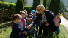 Sadzenie Krzewów W Przedszkolu Nr 27 W Kielcach (2)
