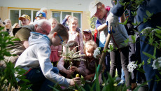 Sadzenie Krzewów W Przedszkolu Nr 27 W Kielcach (8)