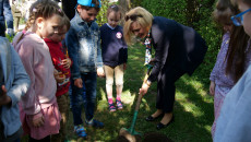 Sadzenie Krzewów W Przedszkolu Nr 27 W Kielcach (9)