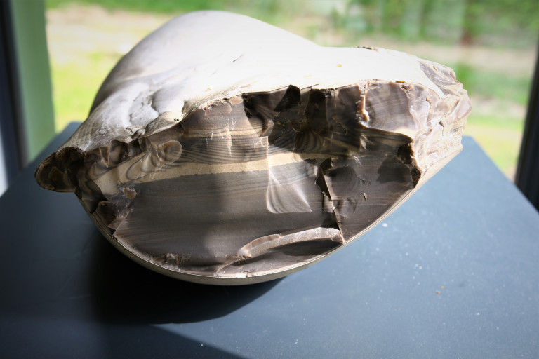  Krzemie Pasiasty Oczami Student w Urz d Marsza kowski Wojew dztwa 