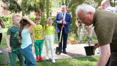 Sadzenie Krzewów W Jędrzejowie (2)