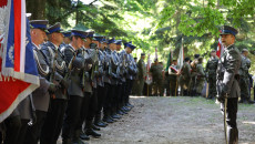 Policjanci Stoją Na Wykusowej Polanie