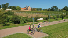Rowerzysci Na Sciezce Rowerowej Obok Winnic W Sandomierzu Scaled