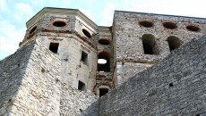 Zamek W Ujeździe (3)