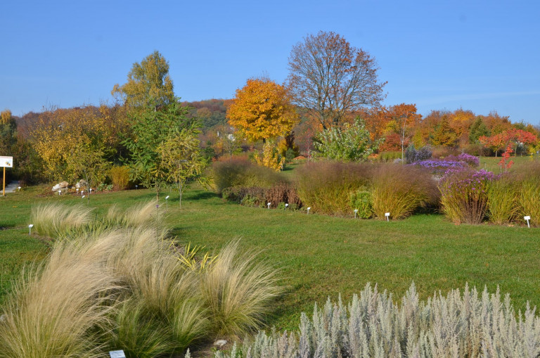 Ogród Botaniczny W Kielcach