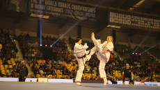 Vii Mistrzostwa Świata W Karate Kielce 2022 (4)