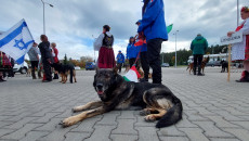 Mężczyzna stoi nad leżącym na kostce brukowej psem