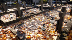 Groby Na Cmentarzu