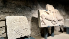 Wystawa W Muzeum Archeologicznym W Wiślicy (7)