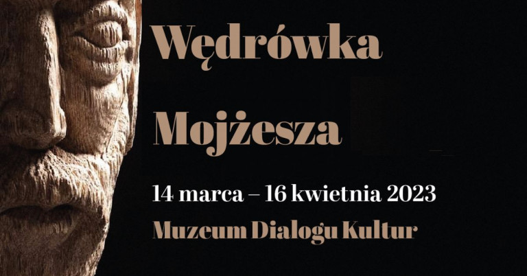 Głowa Ludzka Fragment Rzeźby I Nazwa Wystawy