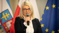 Katarzyna Kubicka, Dyrektor Departamentu Wdrażania Europejskiego Funduszu Społecznego UmwŚ