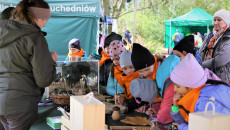 Piknik Z Okazji Dnia Ziemi Nauka O Ekologii Poprzez Zabawę (17)