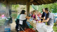 Świętokrzyski Piknik Turystyczny (3)