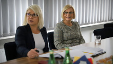 Widok Na Wicemarszałek Renatę Janik