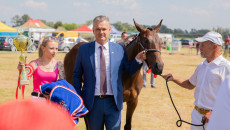 Najpiękniejsze Konie Rasy Małopolskiej Zaprezentowano W Opatowcu (13)