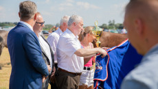 Najpiękniejsze Konie Rasy Małopolskiej Zaprezentowano W Opatowcu (14)