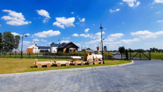 Umianowice (4)
