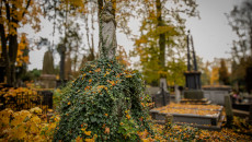 Figura, Rzeźba