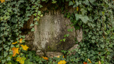 Płyta Nagrobna, Bluszcz