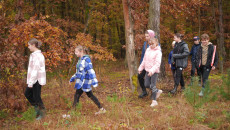 Dzieci Spacerują Po Lesie