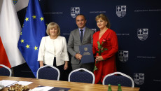 Wyróżnienie Dyrektor Centrum W Morawicy
