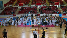 Prezentacja Zawodników Viii Świętokrzyskiej Olimpiady Taekwondo