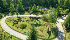 dinozaury w Parku w Bałtowie