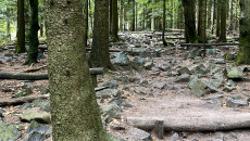 Świętokrzyski Park Narodowy