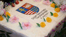 Tort Na Dzień Samorządu