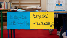 Festyn Szkolny R. Janik (2)