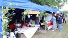 Święto Truskawki W Hucie Szklanej (34)