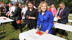 Święto Truskawki W Hucie Szklanej (4)