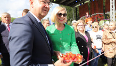 Święto Truskawki W Hucie Szklanej (9)
