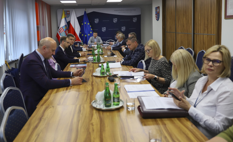 Szeroki, Ogólny Plan Zgromadzonych Na Obradach, Siedzących Przy Stołach