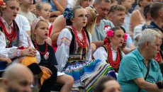 Widowiskowy 
