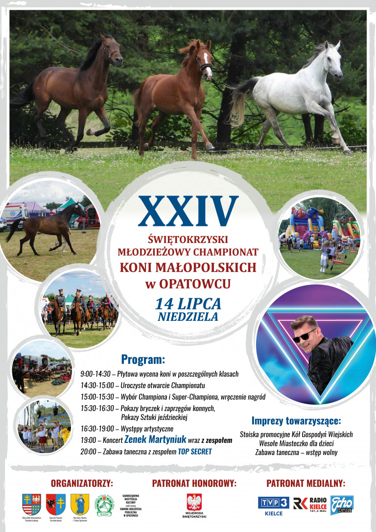 Plakat Chemionat