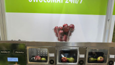 Img 20250123 Wa0031