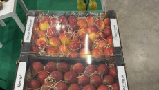 Img 20250123 Wa0032
