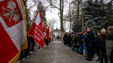 Dsc 2146