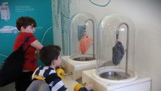 Img 0488