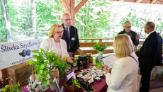 Img 4689