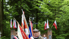 poczet kombatantów